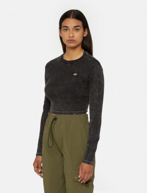 Camiseta Dickies Newington Long Sleeve Feminino Pretas | 748944341