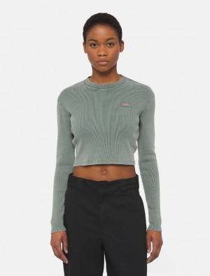 Camiseta Dickies Newington Long Sleeve Feminino Verdes | 70467696