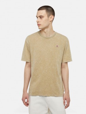 Camiseta Dickies Newington Short Sleeve Masculino Caqui | 154082576