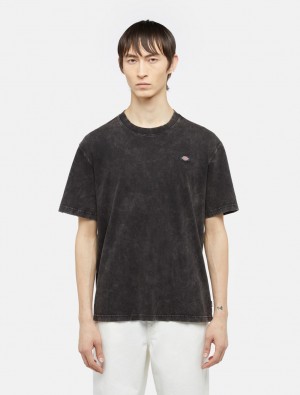 Camiseta Dickies Newington Short Sleeve Masculino Pretas | 484542618