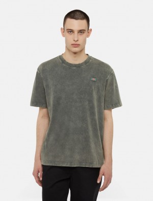Camiseta Dickies Newington Short Sleeve Masculino Verdes | 240821010