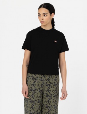 Camiseta Dickies Oakport Short Sleeve Feminino Pretas | 696356840