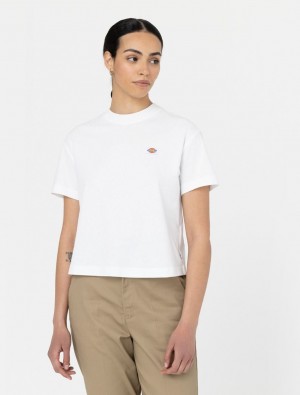 Camiseta Dickies Oakport Short Sleeve Feminino Branco | 524231127