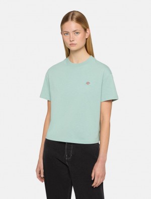 Camiseta Dickies Oakport Short Sleeve Feminino Azuis | 976139361