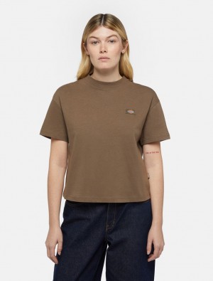 Camiseta Dickies Oakport Short Sleeve Feminino Marrom | 123876480