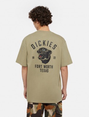 Camiseta Dickies Panther Masculino Verde Oliva | 872209702