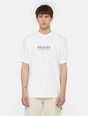 Camiseta Dickies Park Short Sleeve Masculino Branco | 14333618