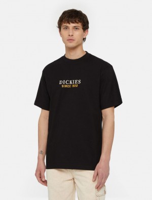 Camiseta Dickies Park Short Sleeve Masculino Pretas | 371405307