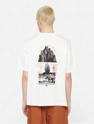 Camiseta Dickies Pearisburg Short Sleeve Masculino Branco | 686922310