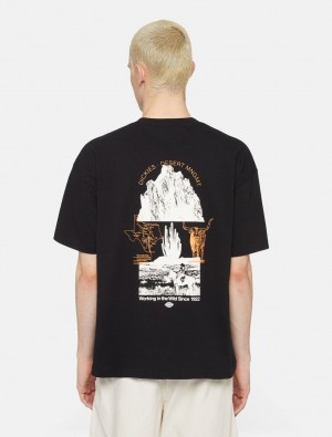 Camiseta Dickies Pearisburg Short Sleeve Masculino Pretas | 503307475