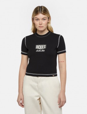 Camiseta Dickies Philipsburg Slim Feminino Pretas | 114322844