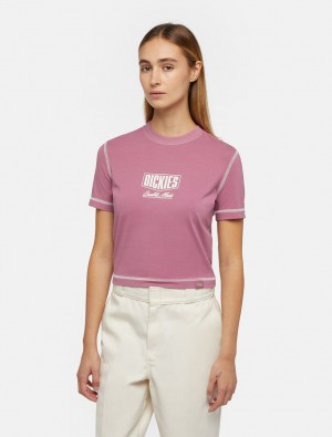 Camiseta Dickies Philipsburg Slim Feminino Rosa | 609302133