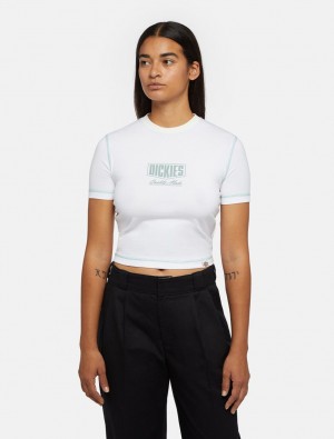 Camiseta Dickies Philipsburg Slim Feminino Branco | 976427338