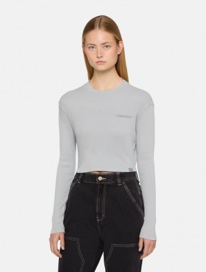 Camiseta Dickies Plentywood Long-Sleeve Feminino Cinzentas | 959415055