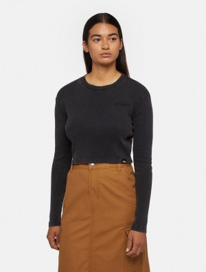 Camiseta Dickies Plentywood Long-Sleeve Feminino Pretas | 563435912