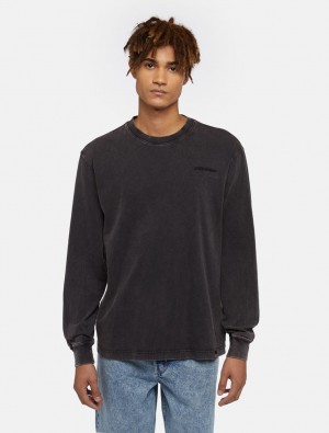 Camiseta Dickies Plentywood Long-Sleeve Masculino Pretas | 907101853