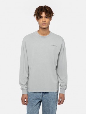 Camiseta Dickies Plentywood Long-Sleeve Masculino Cinzentas | 65408151