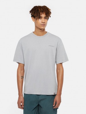 Camiseta Dickies Plentywood Masculino Cinzentas | 582917215