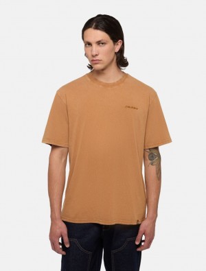 Camiseta Dickies Plentywood Masculino Marrom | 53228742