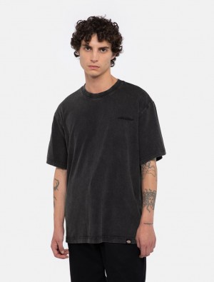 Camiseta Dickies Plentywood Masculino Pretas | 848831498