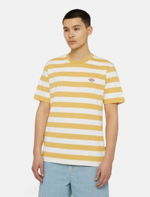 Camiseta Dickies Rivergrove Short Sleeve Masculino Amarelas | 522991772
