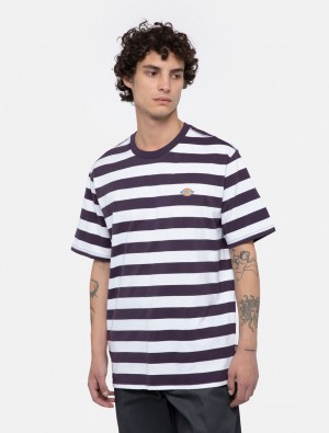 Camiseta Dickies Rivergrove Short Sleeve Masculino Roxo | 8763723