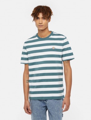 Camiseta Dickies Rivergrove Short Sleeve Masculino Verdes | 557024072