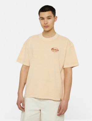 Camiseta Dickies Rustburg Short Sleeve Masculino Abricó | 758480982