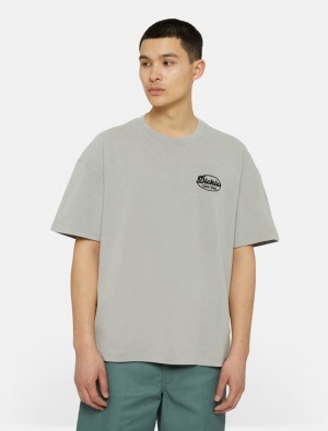 Camiseta Dickies Rustburg Short Sleeve Masculino Cinzentas | 291132926