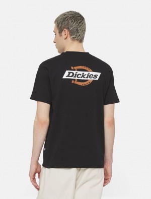 Camiseta Dickies Ruston Short Sleeve Masculino Pretas | 655805433