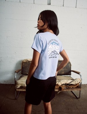 Camiseta Dickies Saltville Short Sleeve Feminino Lavanda | 686371919