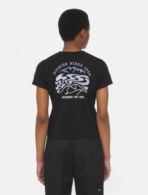 Camiseta Dickies Saltville Short Sleeve Feminino Pretas | 767428644