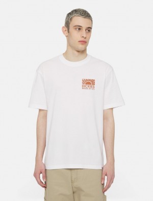 Camiseta Dickies Saltville Short Sleeve Masculino Branco | 910590288