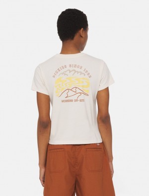 Camiseta Dickies Saltville Short Sleeve Feminino Branco | 773819653