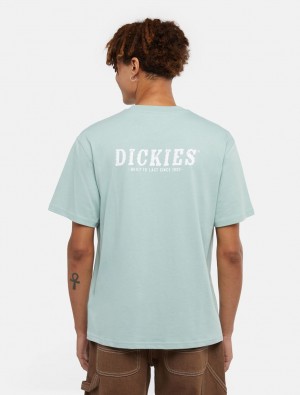 Camiseta Dickies Script Masculino Azuis | 586824699