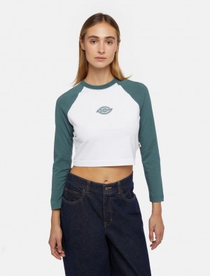Camiseta Dickies Sodaville Long Sleeve Feminino Verdes | 485526288
