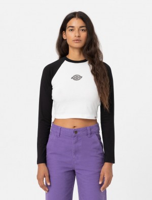 Camiseta Dickies Sodaville Long Sleeve Feminino Pretas | 863251815