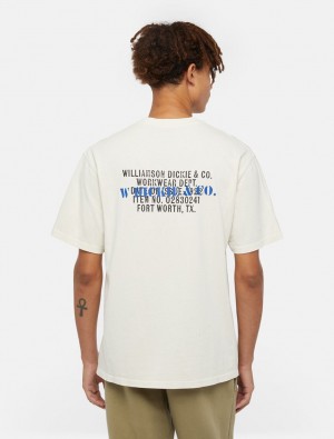 Camiseta Dickies Stamp Masculino Branco | 335612120