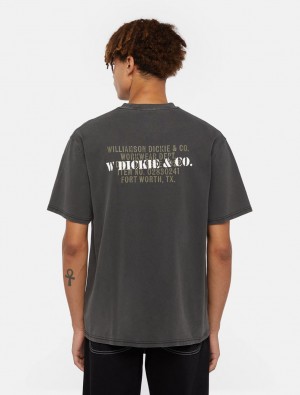 Camiseta Dickies Stamp Masculino Cinzentas | 563759834