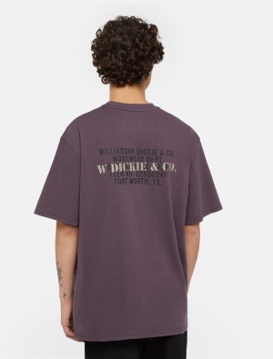 Camiseta Dickies Stamp Masculino Roxo | 906196180