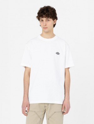 Camiseta Dickies Summerdale Short Sleeve Masculino Branco | 327399449