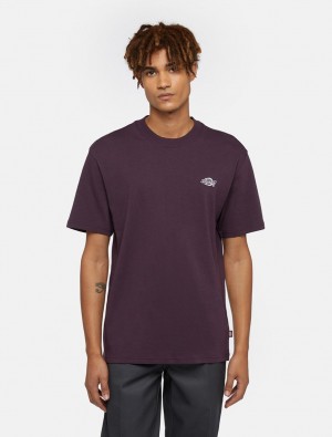 Camiseta Dickies Summerdale Short Sleeve Masculino Roxo | 499503147