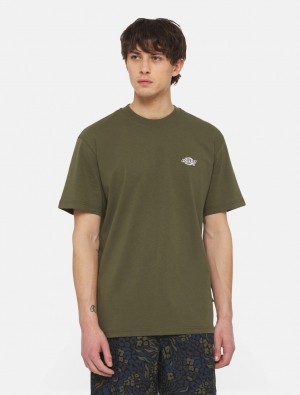 Camiseta Dickies Summerdale Short Sleeve Masculino Verde Oliva | 601043575