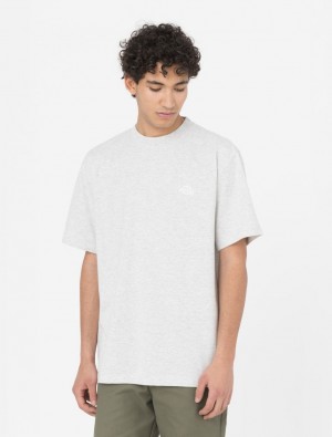 Camiseta Dickies Summerdale Short Sleeve Masculino Cinzentas | 849315717