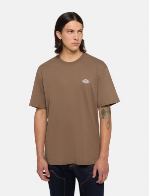 Camiseta Dickies Summerdale Short Sleeve Masculino Marrom | 732593040