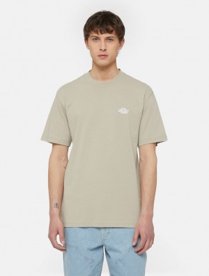 Camiseta Dickies Summerdale Short Sleeve Masculino Caqui | 629411646