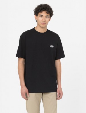Camiseta Dickies Summerdale Short Sleeve Masculino Pretas | 497202975