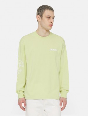 Camiseta Dickies Timberville Long Sleeve Masculino Verdes | 556460989