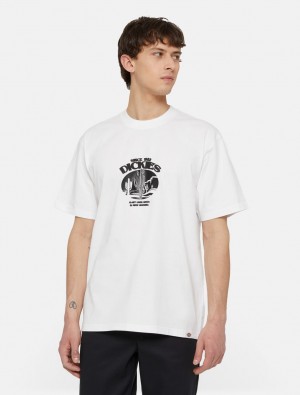 Camiseta Dickies Timberville Short Sleeve Masculino Branco | 772865770