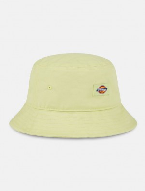Chapéu De Balde Dickies Clarks Grove Masculino Verde Oliva | 931816946